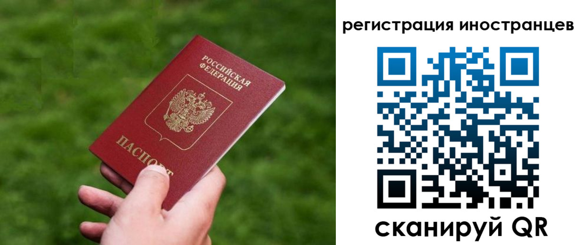 прописка ребенка в Пионерском