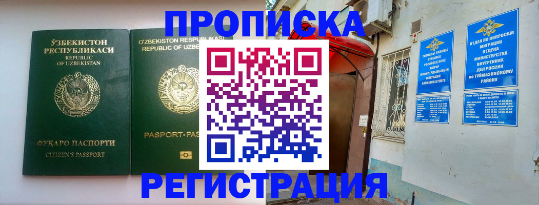 где прописаться в Пионерском